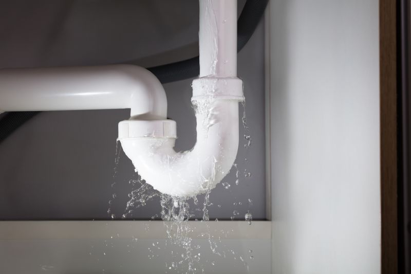 Plumbing Leak Repair in Denver, CO